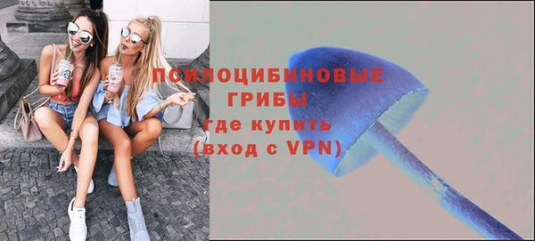 сатива Козельск
