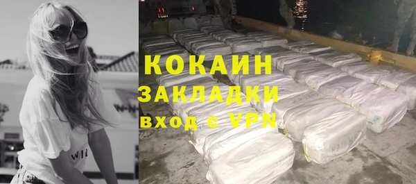сатива Козельск