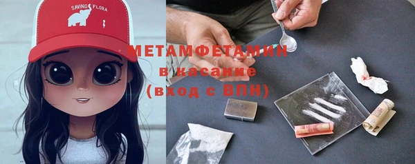 сатива Козельск