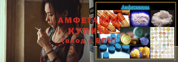 сатива Козельск