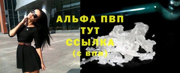 сатива Козельск